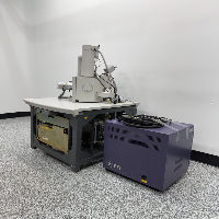 FEI Quanta 200 Scanning Electron Microscope image 1